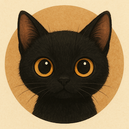 XYLS Co-Founder & Full Stack Developer